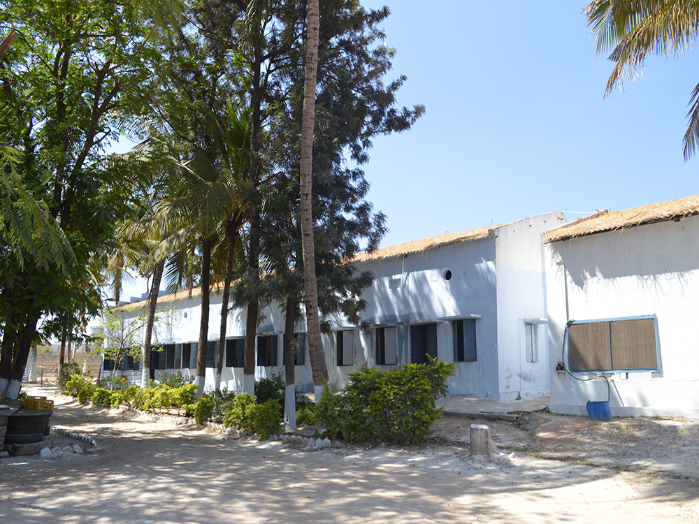 Eluru Hatchery