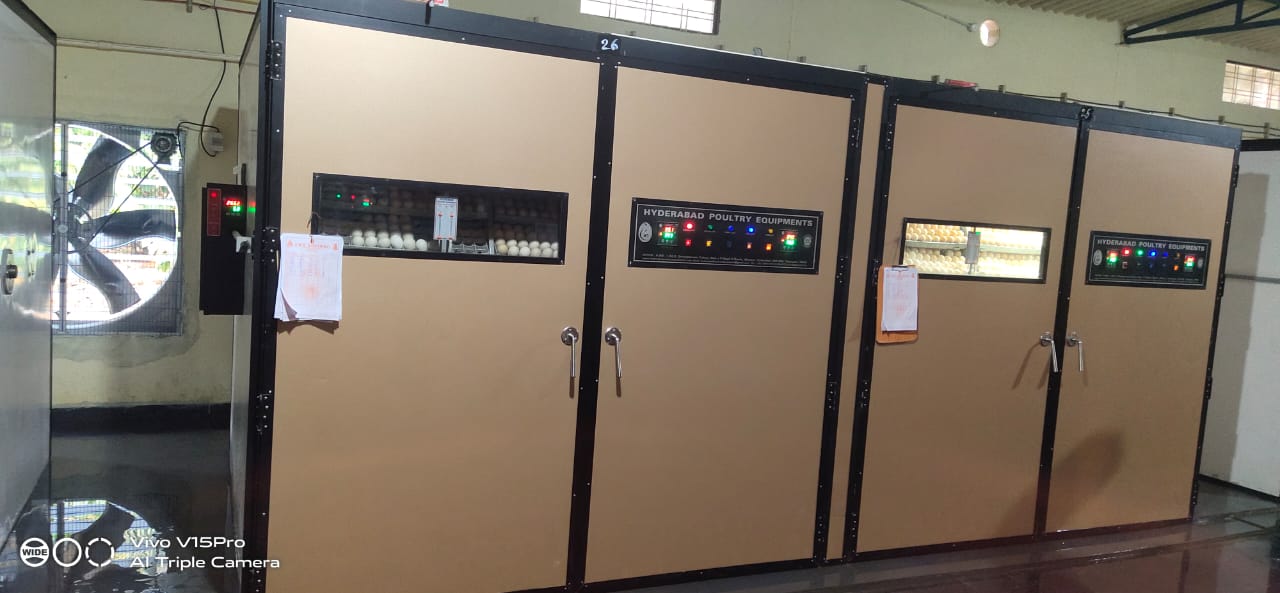 60,000 Eggs Capacity Incubator