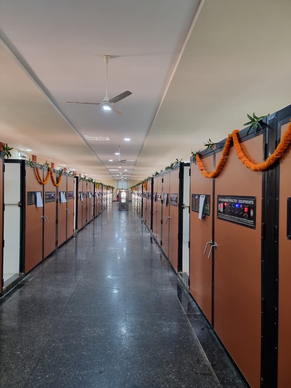 Shadnagar Hatchery incubator corridor decorated for opening
