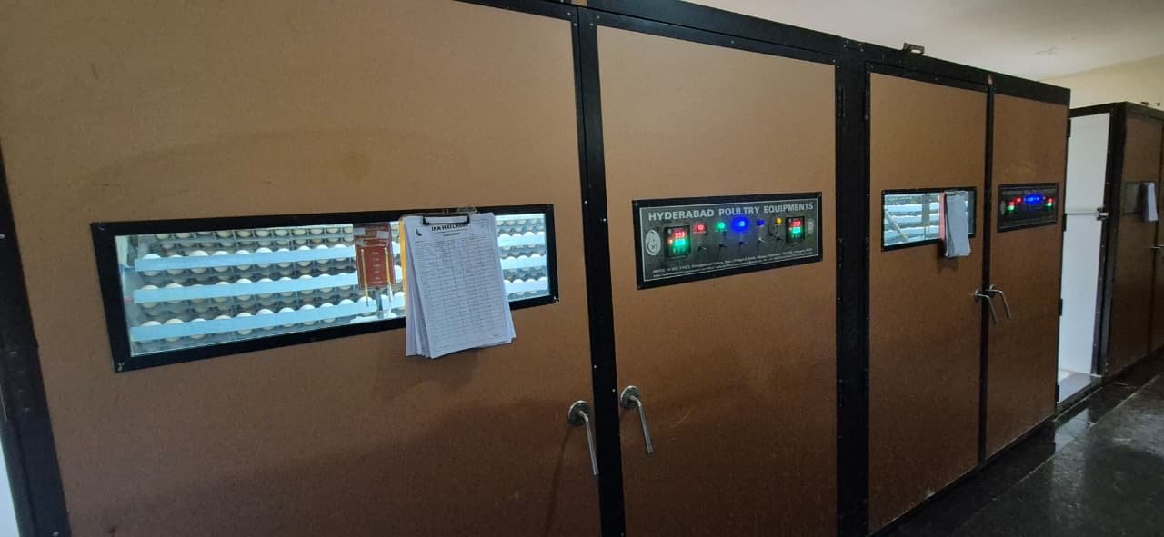Setter control panels with viewing windows
