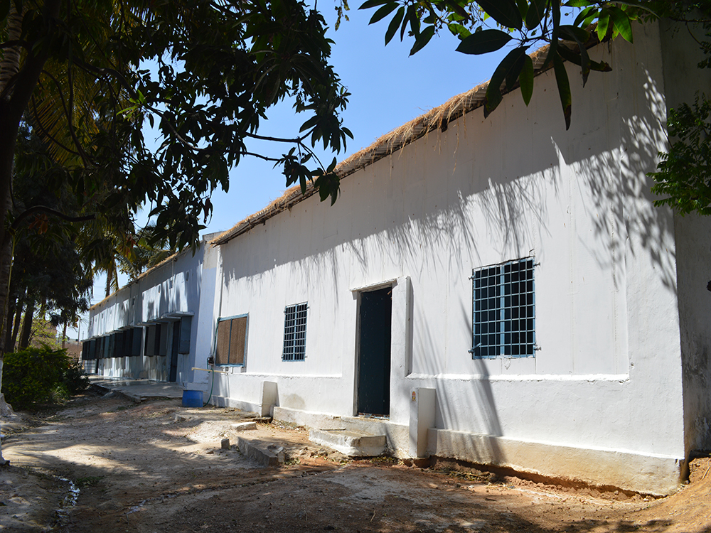 Eluru Hatchery