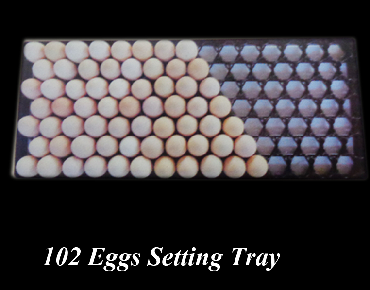 102 Eggs Setting Tray