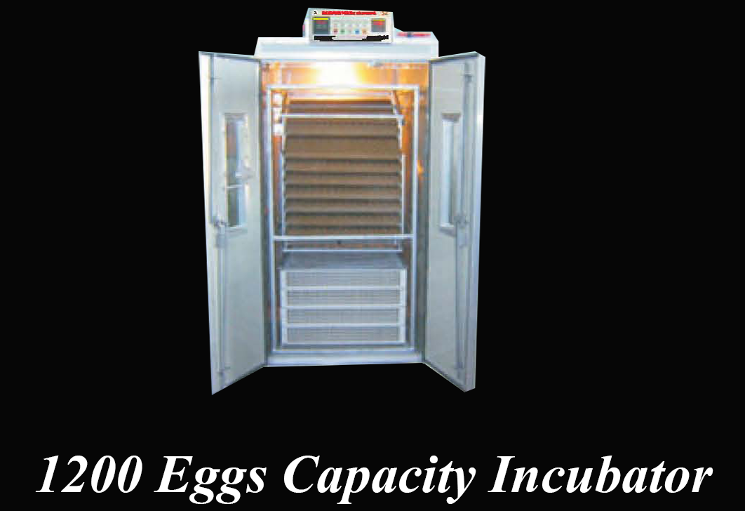 1,200 Eggs Capacity Incubator