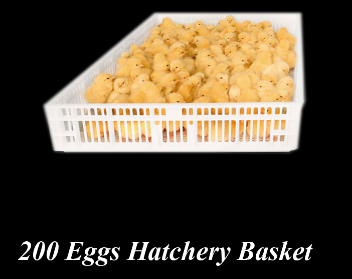 200 Eggs Hatchery Basket