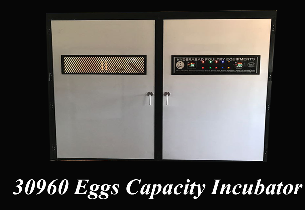 30,960 Eggs Capacity Incubator