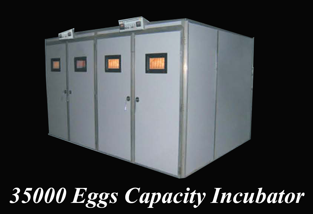 35,000 Eggs Capacity Incubator