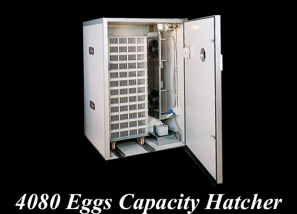 4,080 Eggs Capacity Hatcher