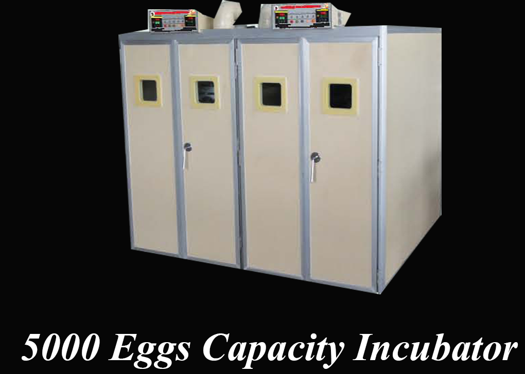 5,000 Eggs Capacity Incubator