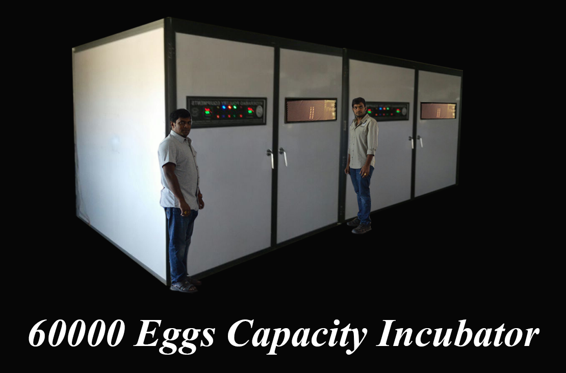 60,000 Eggs Capacity Incubator