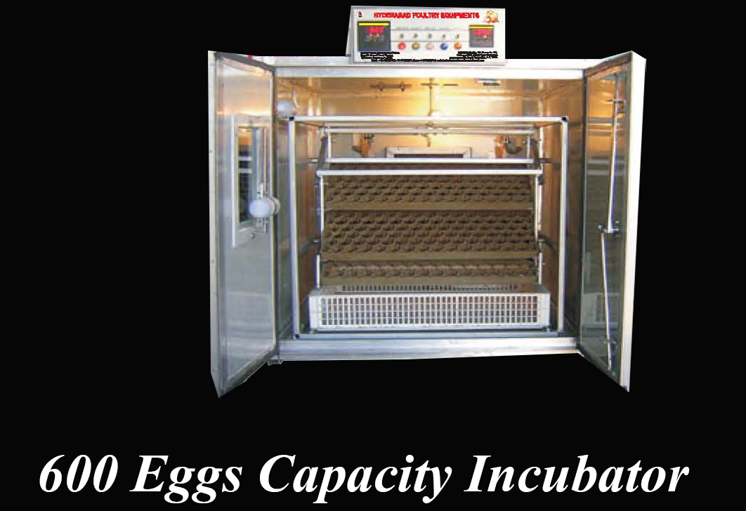 600 Eggs Capacity Incubator