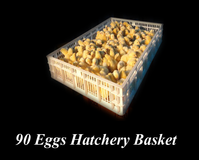 90 Eggs Hatchery Basket