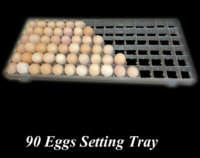 90 Eggs Setting Tray