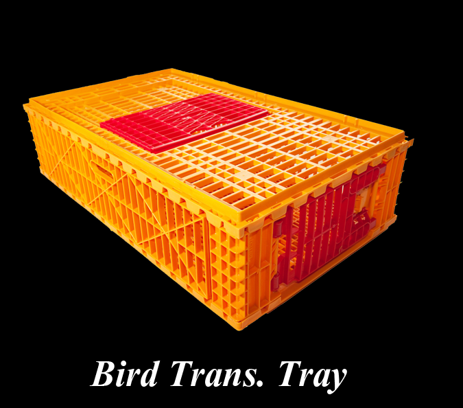 Bird Trans Tray