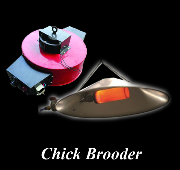 Chick Brooder