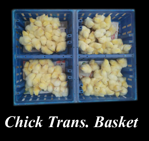 Chick Trans Basket