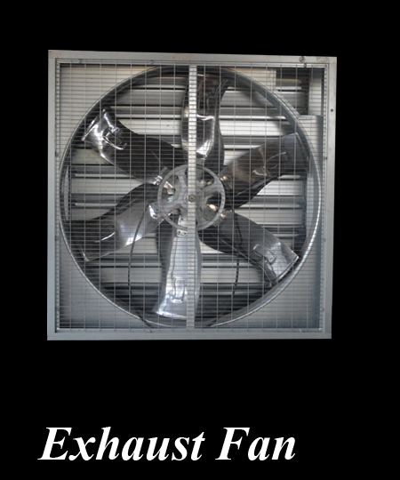 Exhaust Fan