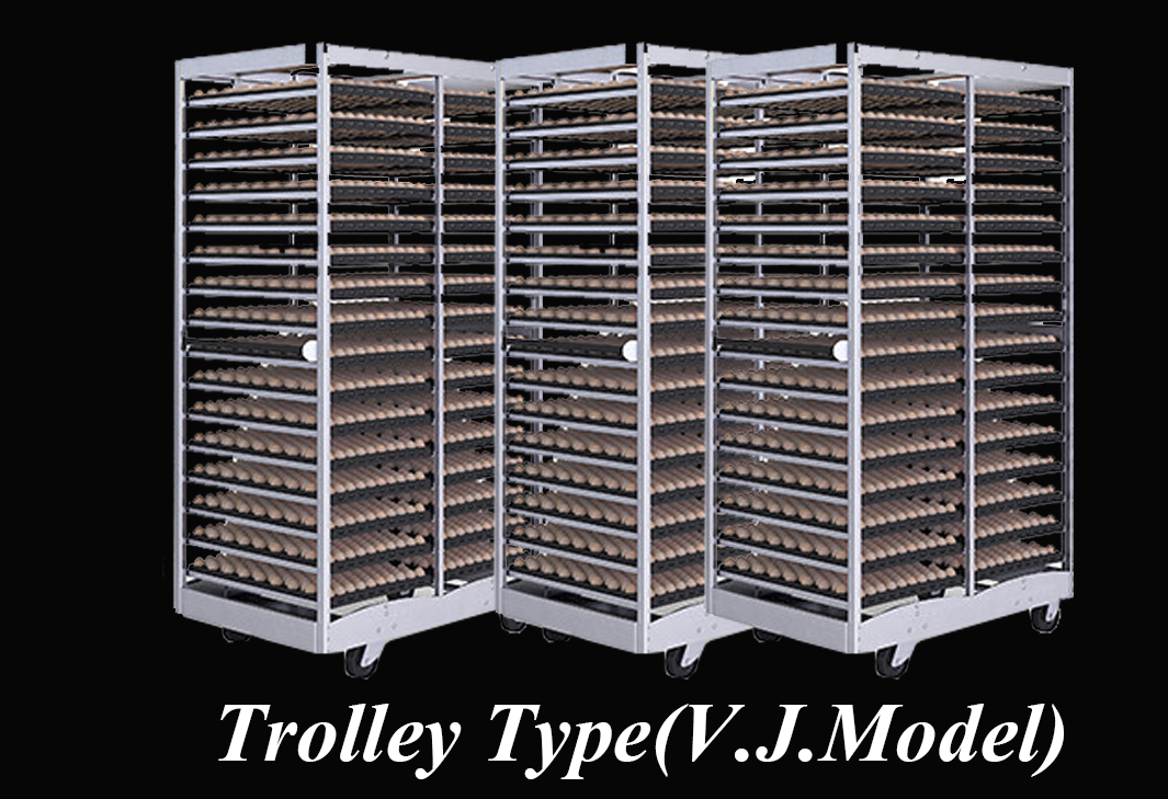 Trolley Type Tray