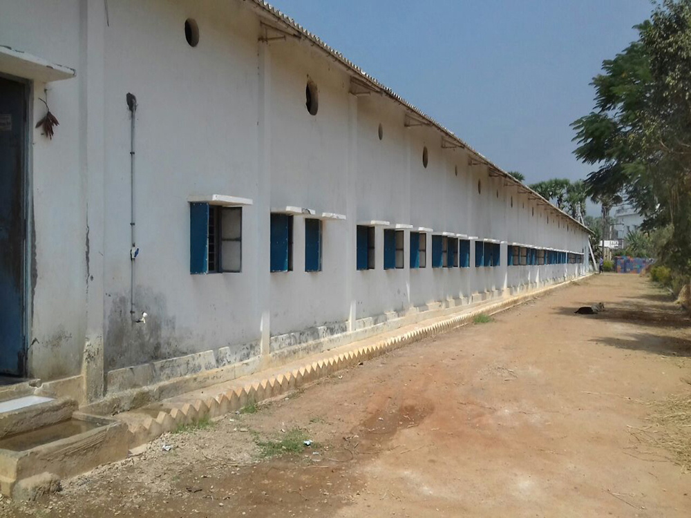 Vishakapatnam Hatchery